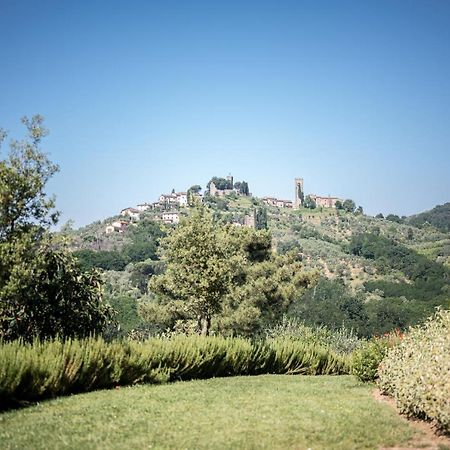 Terre Di Cocomo Borgo a Buggiano Buitenkant foto