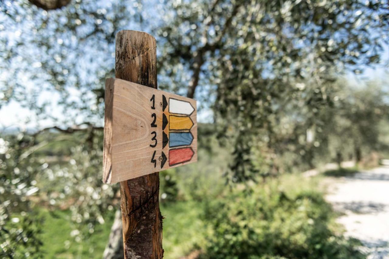Terre Di Cocomo Borgo a Buggiano Buitenkant foto