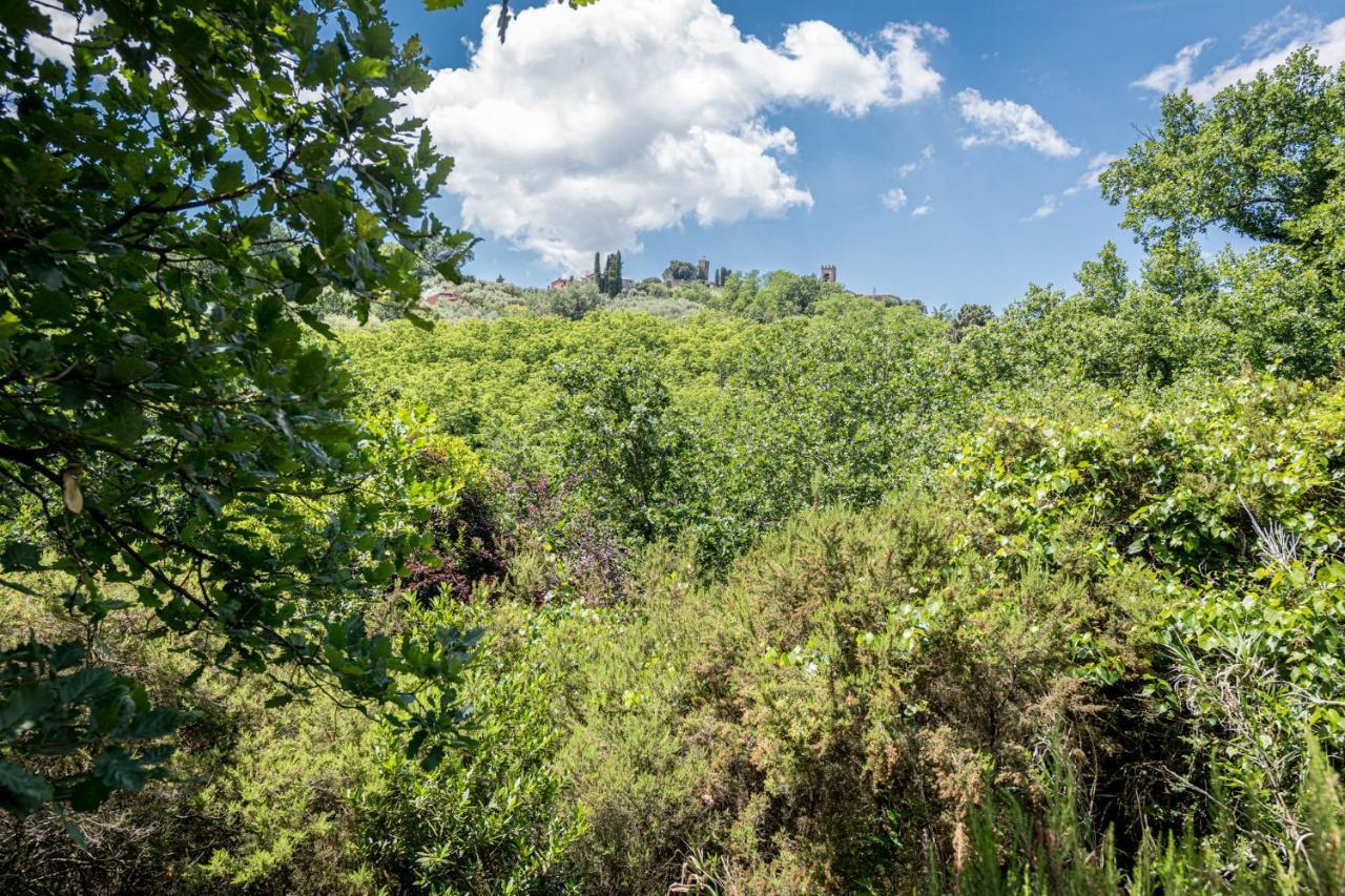 Terre Di Cocomo Borgo a Buggiano Buitenkant foto
