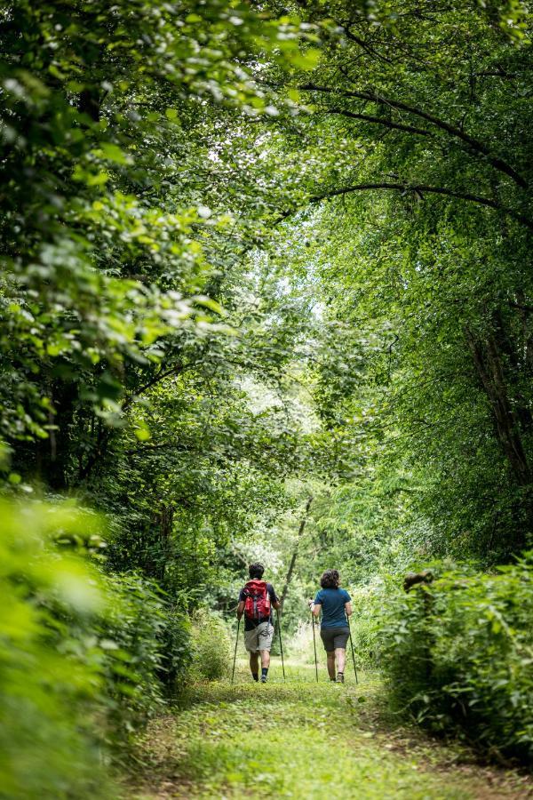 Terre Di Cocomo Borgo a Buggiano Buitenkant foto