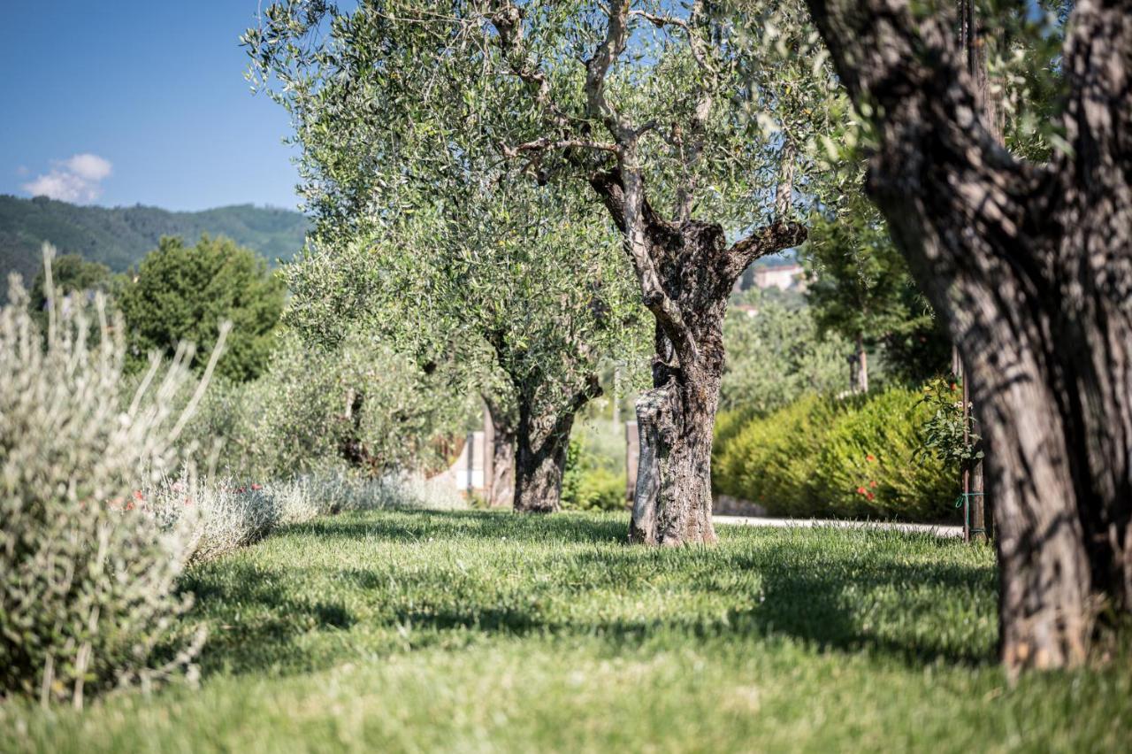Terre Di Cocomo Borgo a Buggiano Buitenkant foto